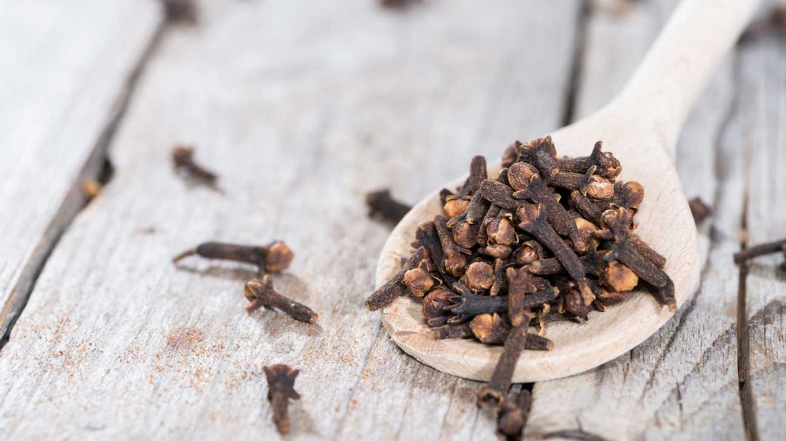 Cloves used in EltheCook Readymade Tadka (Tempered SPice blends). Shipping worldwide